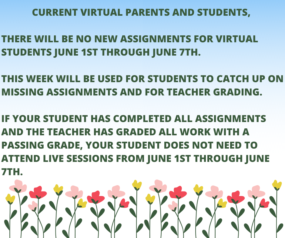 virtual students