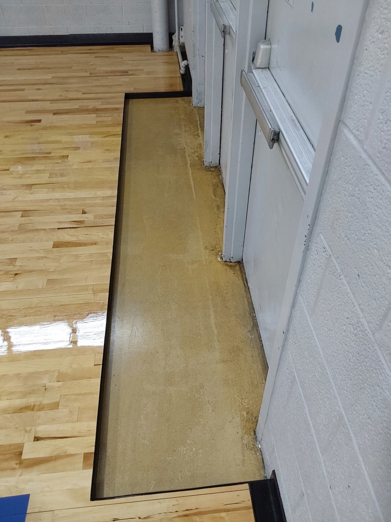 gym floors